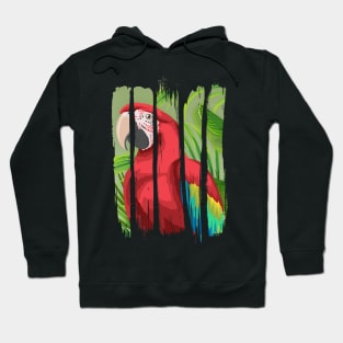 Colorful macaw Hoodie